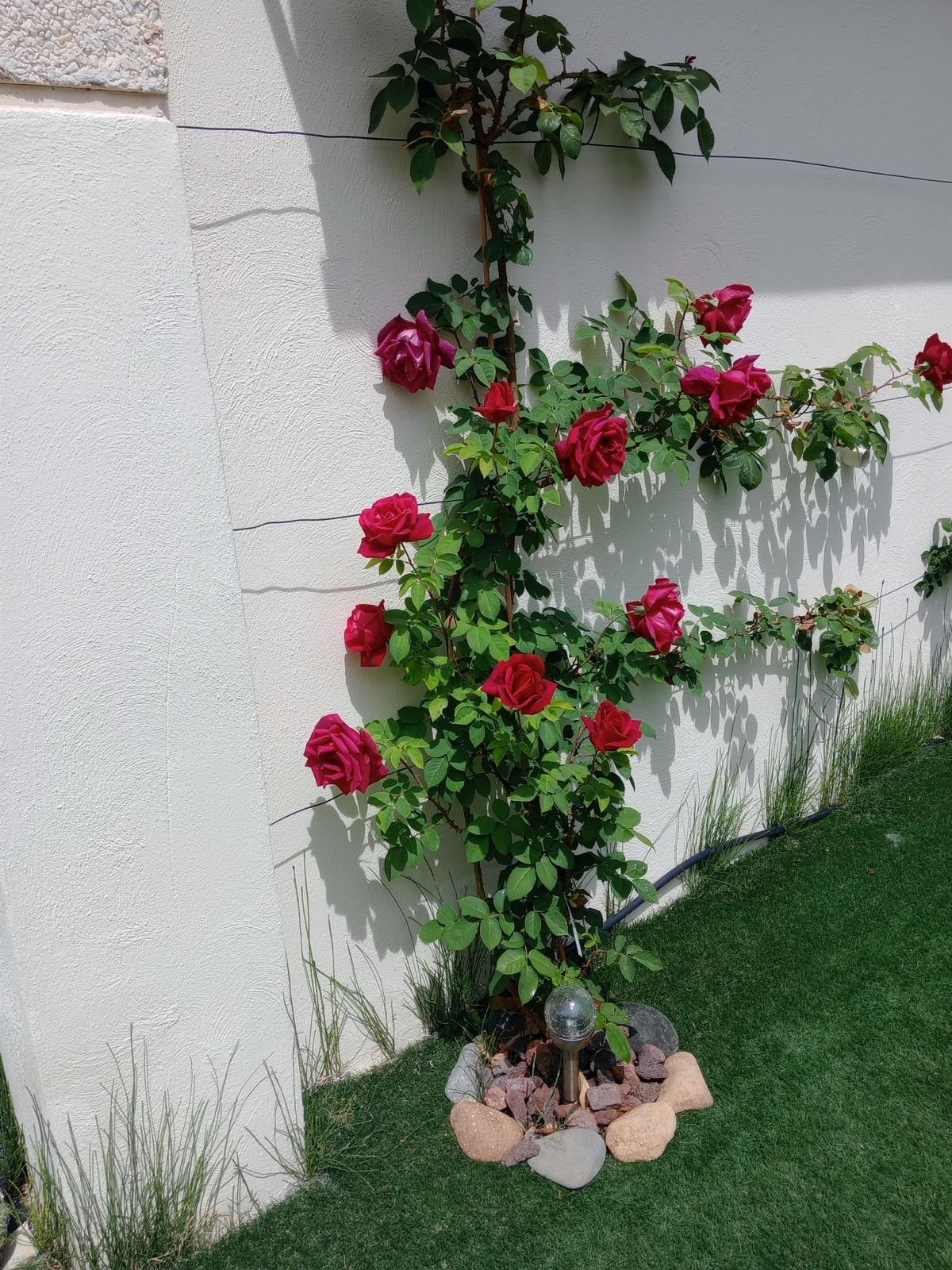 Wohnung zum Verkauf in Cambrils Mediterrani - Image 5